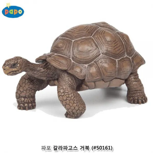 고급 피규어시리즈 파포 모형거북 갈라파고스 땅거북 동물피규어 공룡인형 소프트공룡 공룡장난감세