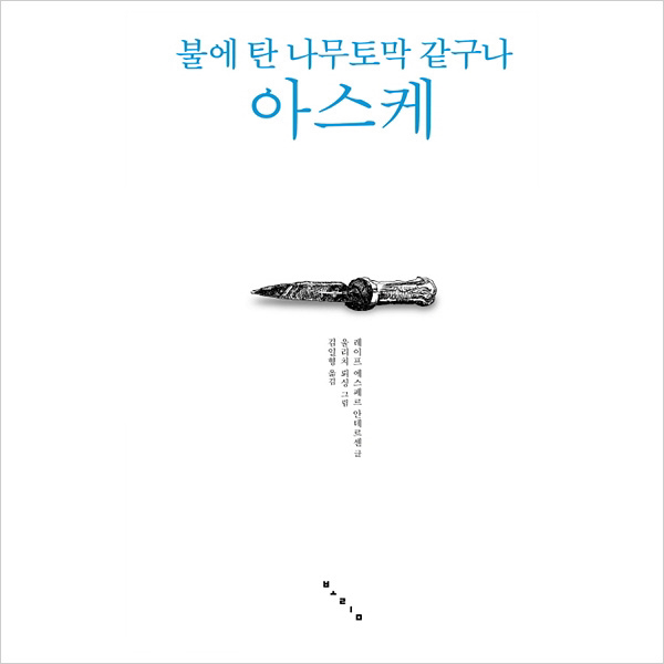 불에 탄 나무토막 같구나 아스케 (보림문학선 8)(양장)