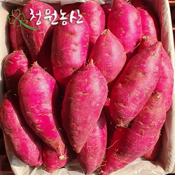 청원농산 햇밤 꿀고구마 (특/특상) 3kg 5kg 10kg, 3kg  x 1box