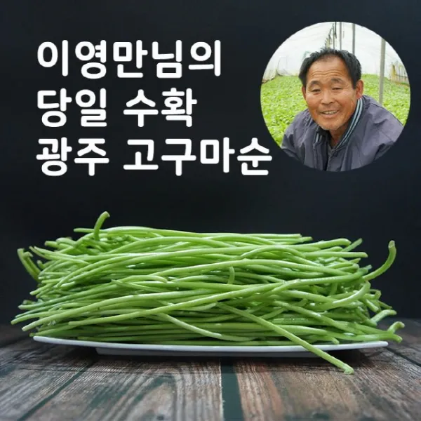 미스터팜팜 당일채취 생고구마순 고구마줄기 1.2kg 1개