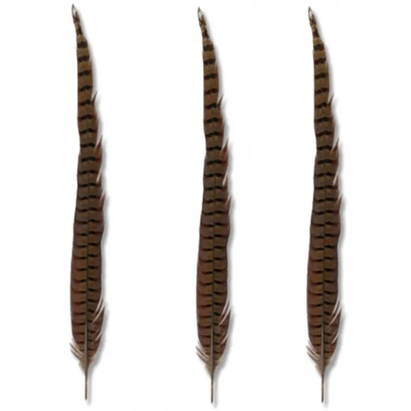  퍼피가드 고양이 깃털 꿩털 30cm 이상 45cm 이상 3개