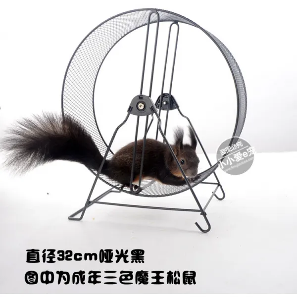 소형 동물 챗바퀴 고슴도치 다람쥐 햄스터 물레방아, 32cm 블랙