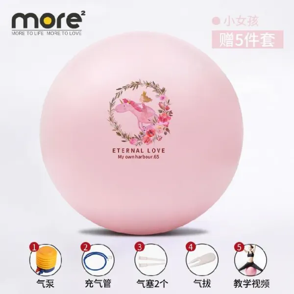 요가볼 요가공 헬스볼 다이어트 운동 운동볼 요가 방폭 볼핸드 날씬한 장비 실내 C01 55cm 키 150 160cm 