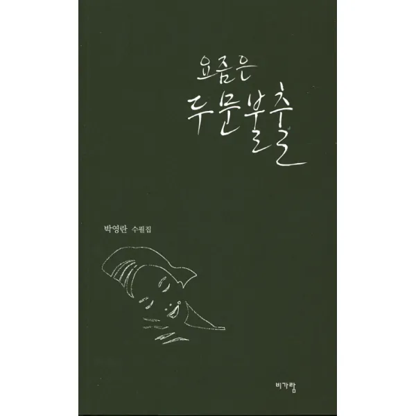요즘은 두문불출:박영란 수필집, 비가람