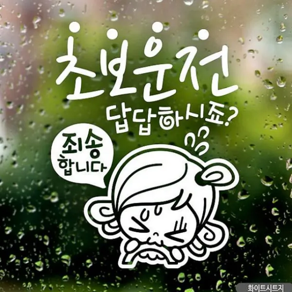 라온쇼핑 초보답답 초순이 초보운전스티커-화이트 차량용 스티커