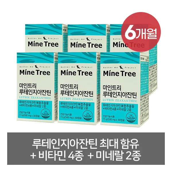 [마인트리] 5:1 최대함량 루테인지아잔틴 6박스, 상세 설명 참조, 상세 설명 참조