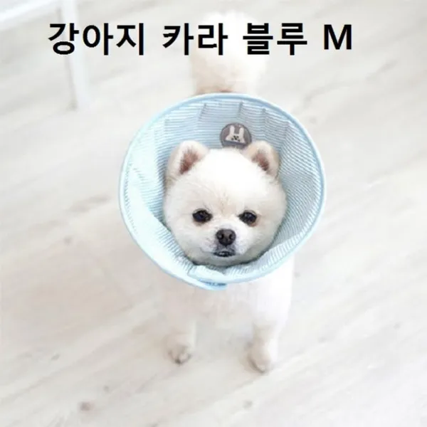 강아지 고양이 넥카라 뱃 엘리자베스 카라 블루M_[하미하태]s/n 2021 no: + 빻 da ham/ 0402SM