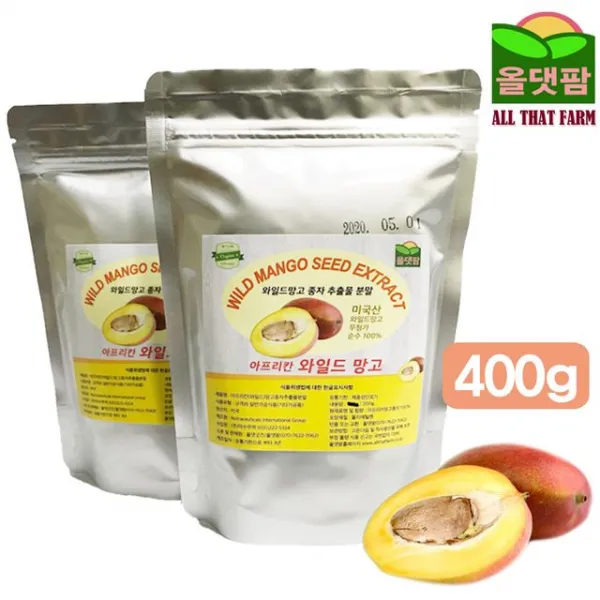 고씨 와일드망고 씨앗가루 400g 종자추출 분말 양념갈비, 1개