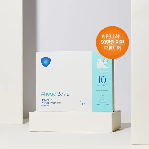 핏펫 반려동물 어헤드 베이직 국문 소변검사 키트, 1세트