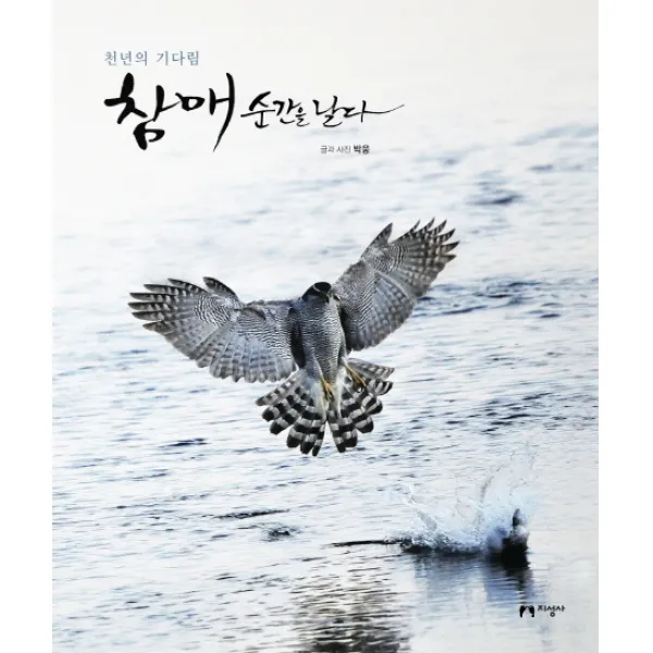 천년의 기다림 참매 순간을 날다, 지성사