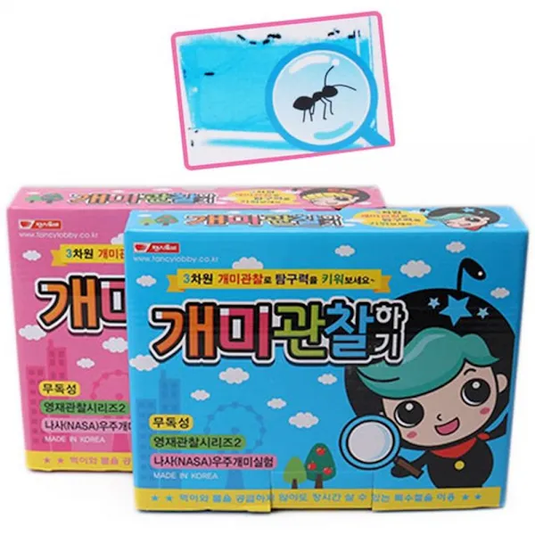 12000 개미관찰하기 택1 개미키우기 아동 곤충학습 교육 글자, 핑크