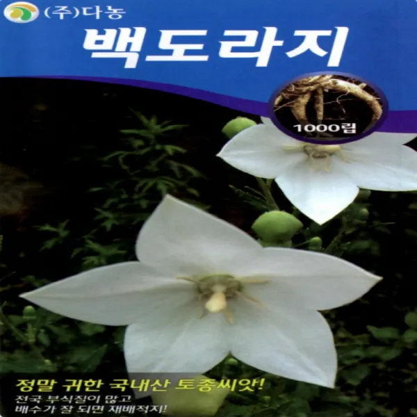 진양원예사 백도라지 - 흰 꽃 피는 도라지 씨앗 종자 소포장 1000립