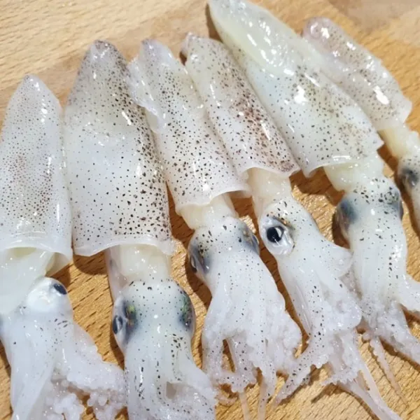 쿡북 자연산 호르레기 급냉 1kg 꼴뚜기 호래기, 1개