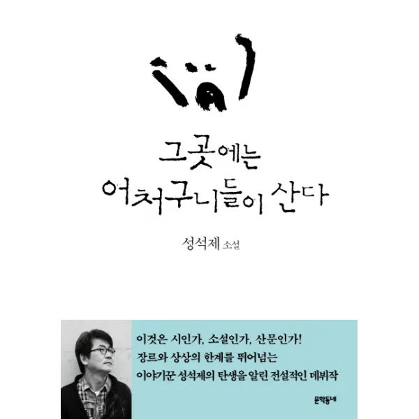 그곳에는 어처구니들이 산다:성석제 소설, 문학동네