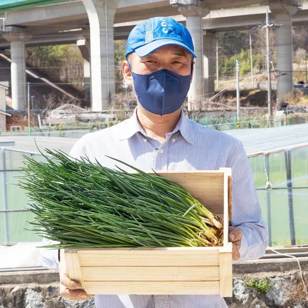 쪽파 2kg 3kg 봄 노지 흙 쪽파 제철, 순천 흙쪽파 2kg