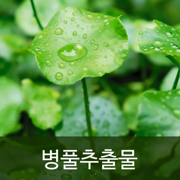 병풀추출물-진정 보습 장벽강화, 500ml