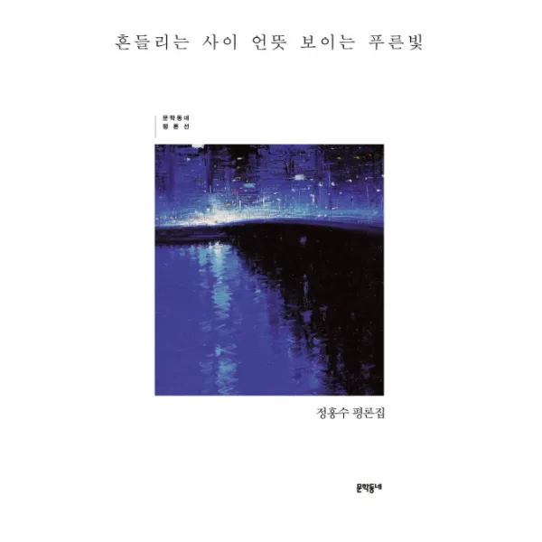 흔들리는 사이 언뜻 보이는 푸른빛:정홍수 평론집, 문학동네