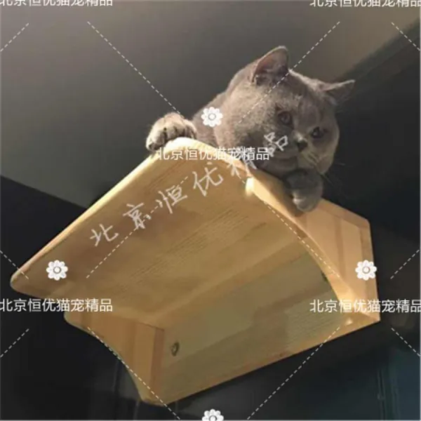 소형캣타워 [ 본전판매 측정)고양이용품 시리즈 원목 고양이캣타워 벽결이형 발판 고양이집, T06-Pvc사이잘삼 실린더 50CM, 기본