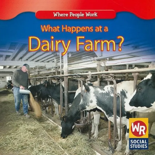 What Happens At A Dairy Farm Where People Work 낙농장에서는 어떻게 되나요 사람들이 일하는 곳 1