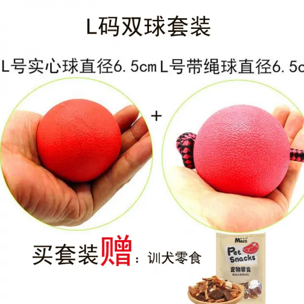 완구 탱탱볼 내 물어뜯기 중대형 견마견 덕목 실심 피트니스연습공 있음 훈계함 강아지볼 L사이즈 훈련