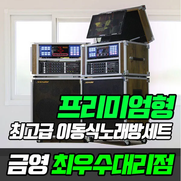 금영 이동식프리미엄형 금영노래방 태진노래방(팬션 야유회 가정용노래방 업소용노래방기기 라이브공연), 추가구매_무선마이크 충전식1세트(2개)