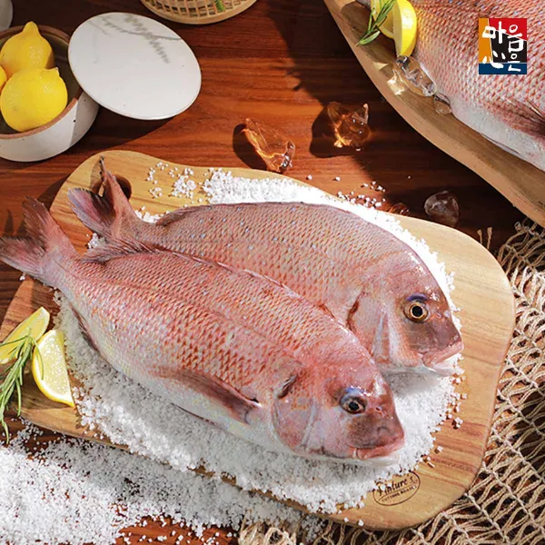  신세계tv쇼핑 국내산 청정해 여수 손질참돔 2.5kg 500g이상 X 5미 단일상품 단일상품