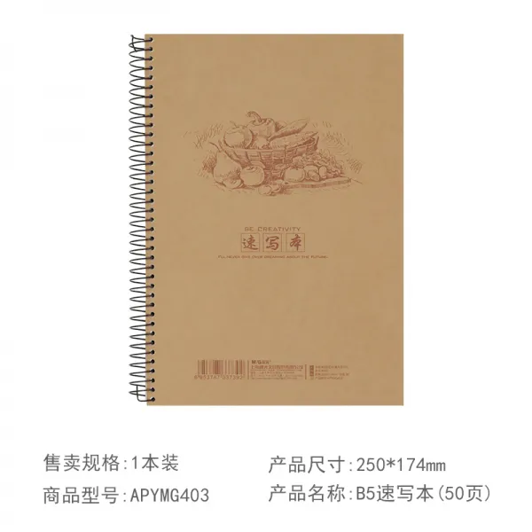 스케치북 Chenguang소묘노트 스케치노트 더블라인 ShengZhuan용회화노트 그래피티 사생그림그리기 간편 소묘노트 원목 펄프 16K공백 그림 미술 B5전용 납페인팅 도화, T03-B5스케치노트 40페이지(평년 시리즈 2)*2권