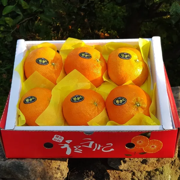 제주 레드향 2kg(대과 선물용 6-8수) 진홍색 만감류의 여왕 품격있는 연말선물세트!, 단일상품