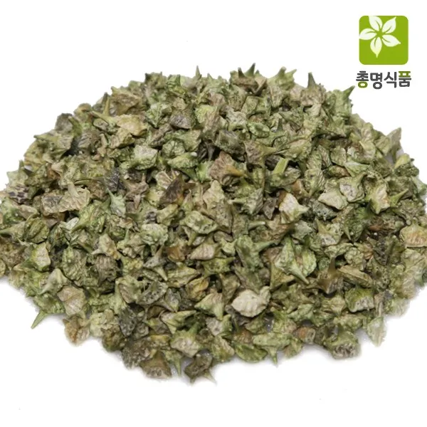 총명식품 백질려 질려자 1개 600g