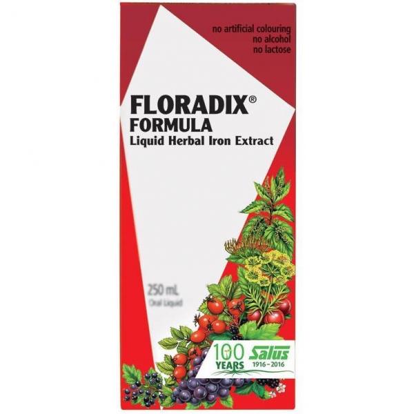 Floradix Formula 허브 철분추출물 임신건강 활력 면역 적혈구 웰빙건강 액체250ml, 1개, 250ml