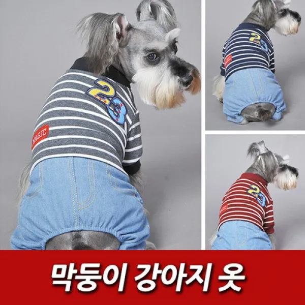 캠핑바이크 막둥이 강아지 옷, 레드M