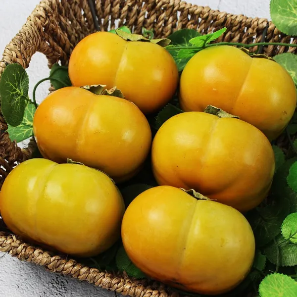김용문 농가 장성 단감 차량단감 10kg, 5kg, 가정용 차량단감 10kg중과(59개내외)