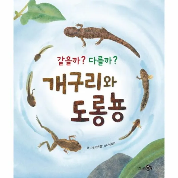 이노플리아 같을까 다를까 개구리와 도롱뇽 44 바람그림책, One color | One Size@1