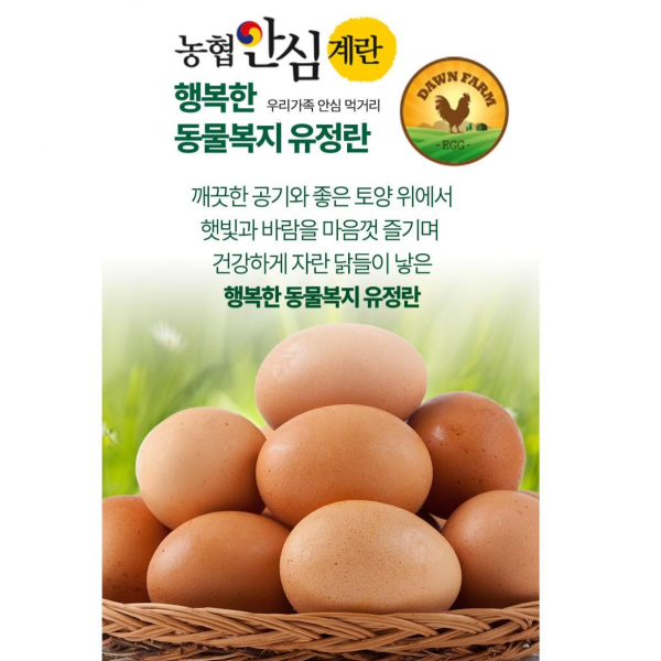 농협안심계란 행복한 동물복지유정란 20개입 40개입, 1040g이상