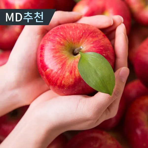 껍질째먹는 경북 햇 부사 고당도 꿀사과, 5kg 꼬마소과(26~30과내외)