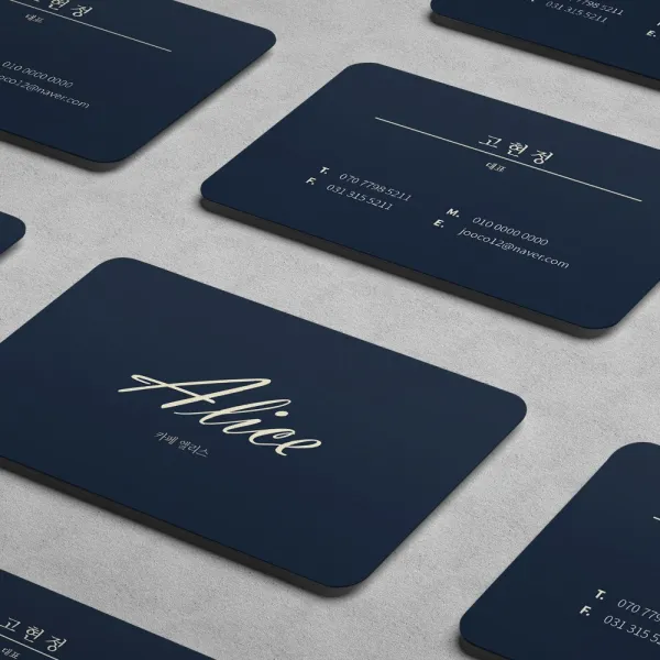 디자인닥터 명함 제작 디자인 캘리그라피, 500매, 스노우지