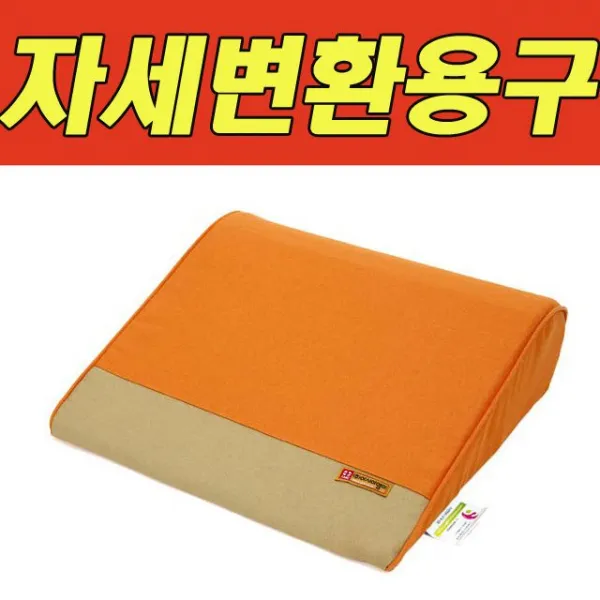 B 등받이 자세변환쿠션 자세변환용구 소 ATA-105 보조 할아버지 할머니 부모님 효도 요양 어르신 노인 명절 가정의달 선물 간병호 실버 용품, 쿠팡 1