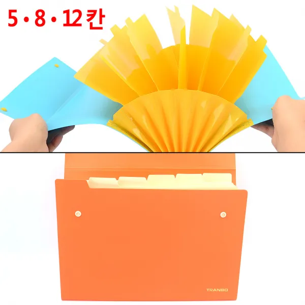 서류 분류 보관 정리 클리어 화일 새학기 심플화일, 1개, 12칸