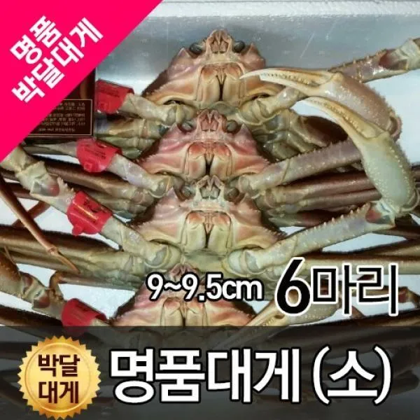 명품 박달대게 소 9cm~9.5cm 6마리 찜배송