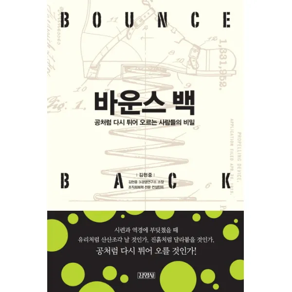 바운스 백 : 공처럼 다시 튀어 오르는 사람들의 비밀, 김영사