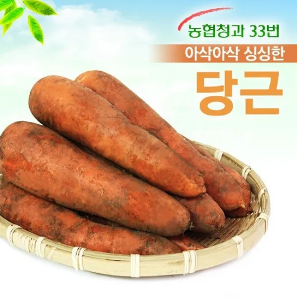 농협청과33번 아삭아삭 햇당근 5kg/10kg 골라담기, 05.햇당근 10kg/상품, 상세설명 참조