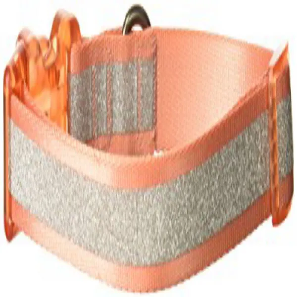 Bow Arrow Adjustable Nylon Dog Collar with Sparkly Silver Glitter Stripe Coral Large 활 화살 가변 반짝이, 1