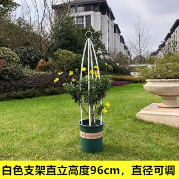 전원주택조경 오벨리스크 화초 장미지지대 홈가드닝 루스커스 침봉 화단만들기 옥상정원, 하얀 것 + 작은