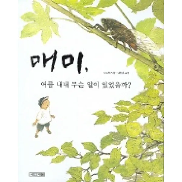 사계절 매미 여름 내내 무슨 일이 있었을까