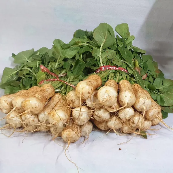 백산상회 알타리, 1단, 3.4kg이내