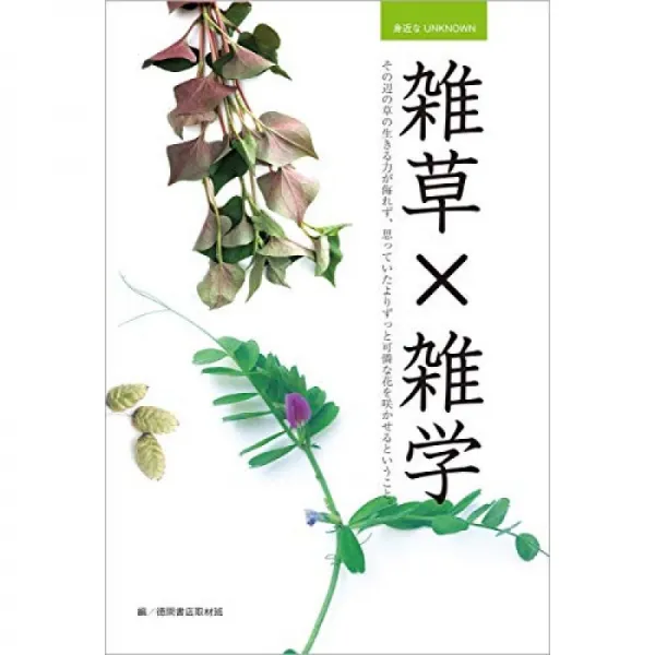 가까운 UNKNOWN 잡초 × 잡학 그 근처 초본 살아가는 힘이 만만치 않고 생각했던 것보다 훨씬 가련한 꽃, 단일옵션, 단일옵션