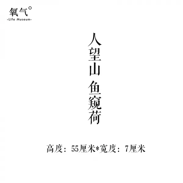 카페인테리어소품 고풍 격려 벽스티커 문예 짧은문장 스티커 서점 밀크티가게 커피숍 장식 벽에붙이는스티커, C01-중간
