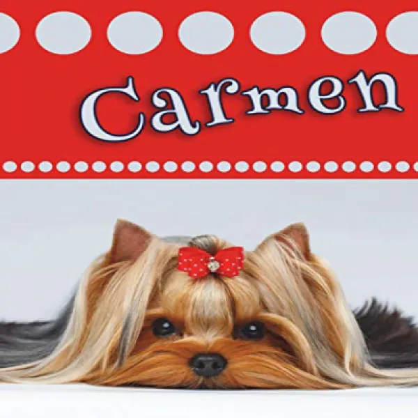 Carmen: Personalized Address Book Large Print 8 1/2” x 11” Carmen : 개인 주소록 큰 활자체 8 1/2 ”x 11”, nullSET