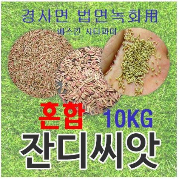[법면 경사면용] 혼합양잔디씨앗 10kg 약100평 무료배송/발아율 80%이상/혼합풀씨 혼합종자 잔디씨 양잔디씨 잔디씨앗 법면녹화 사방공사