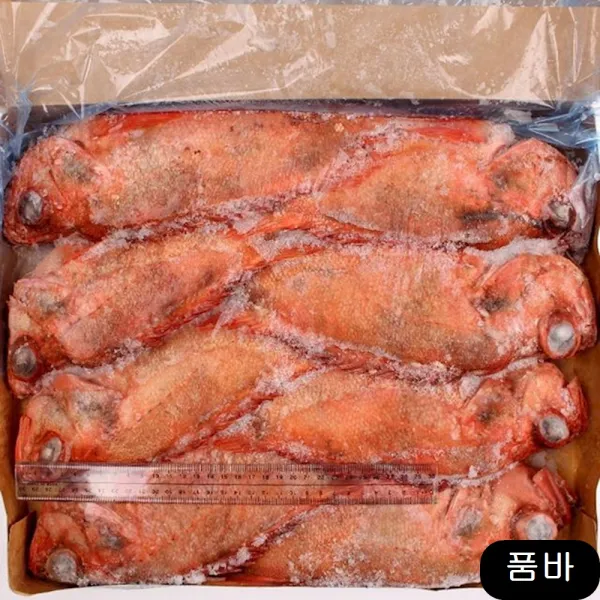 냉동 적어 7kg 700 10 열기 식당용생선 수산물, 1개